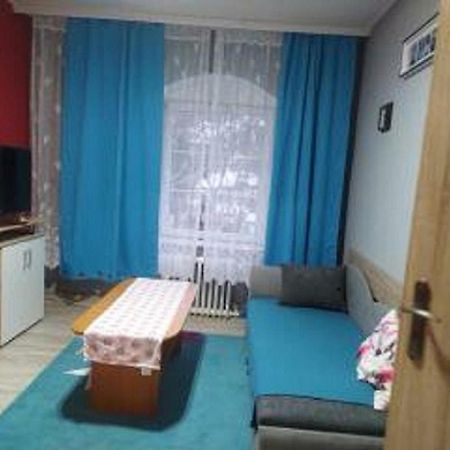 Apartman U Petru 1 Jáchymov Dış mekan fotoğraf