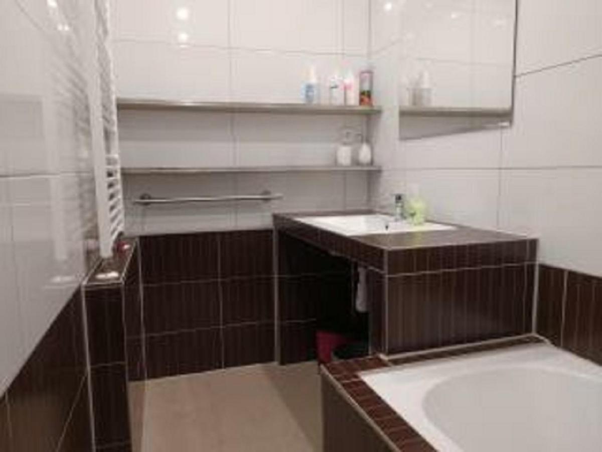 Apartman U Petru 1 Jáchymov Dış mekan fotoğraf